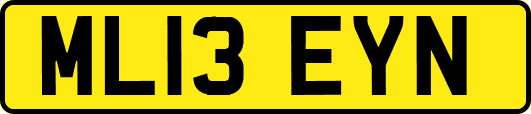 ML13EYN