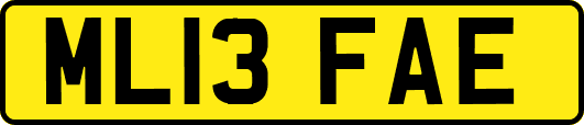ML13FAE