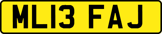 ML13FAJ