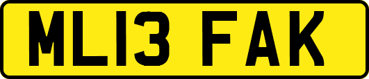 ML13FAK