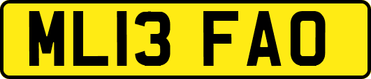 ML13FAO