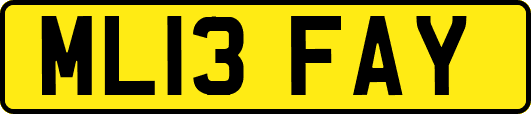 ML13FAY