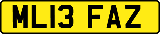 ML13FAZ