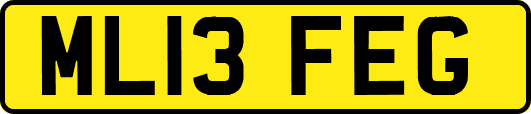 ML13FEG