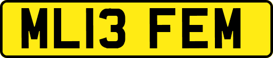 ML13FEM
