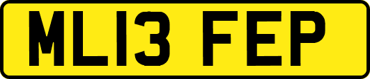 ML13FEP