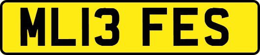 ML13FES