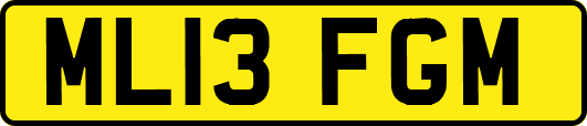 ML13FGM