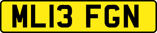 ML13FGN