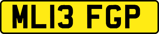 ML13FGP