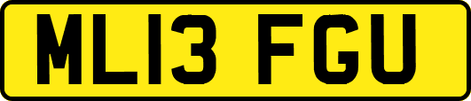 ML13FGU