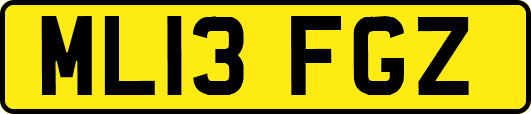 ML13FGZ