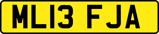 ML13FJA