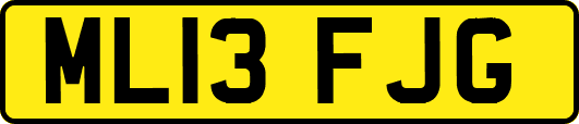 ML13FJG