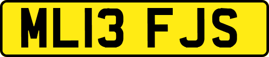 ML13FJS