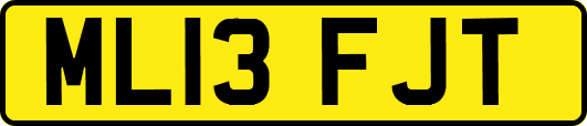 ML13FJT