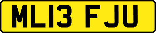 ML13FJU