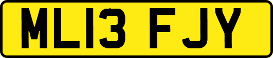 ML13FJY
