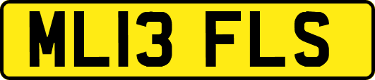 ML13FLS
