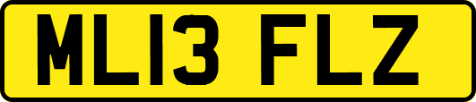ML13FLZ