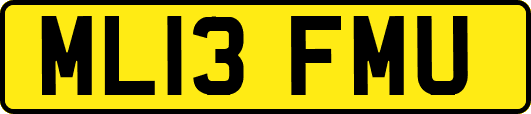 ML13FMU