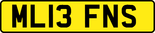 ML13FNS