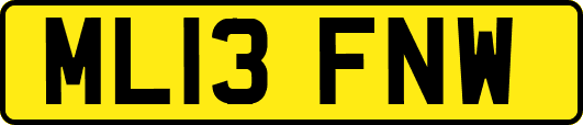 ML13FNW