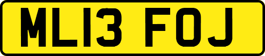ML13FOJ