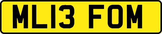 ML13FOM