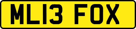 ML13FOX