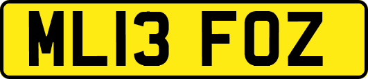 ML13FOZ