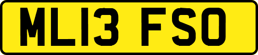 ML13FSO