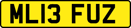 ML13FUZ