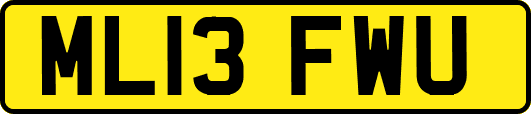 ML13FWU