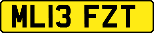 ML13FZT