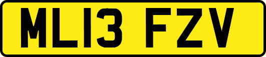ML13FZV