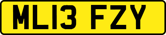 ML13FZY
