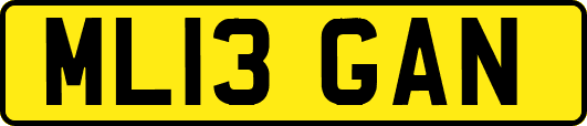 ML13GAN