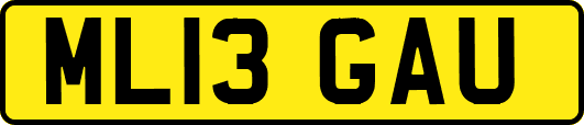 ML13GAU
