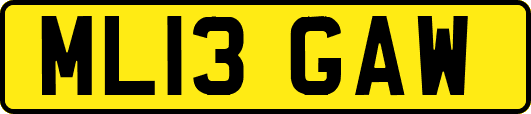 ML13GAW