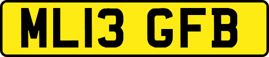 ML13GFB