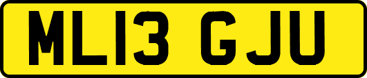 ML13GJU