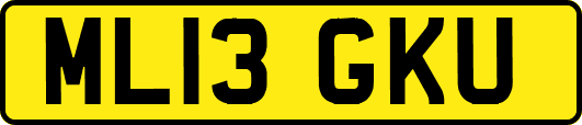 ML13GKU