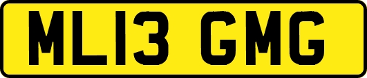 ML13GMG