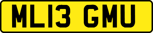 ML13GMU