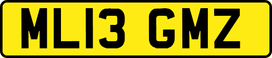 ML13GMZ