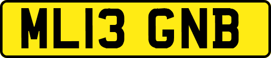 ML13GNB