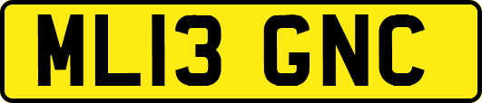 ML13GNC