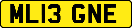 ML13GNE