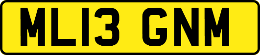ML13GNM